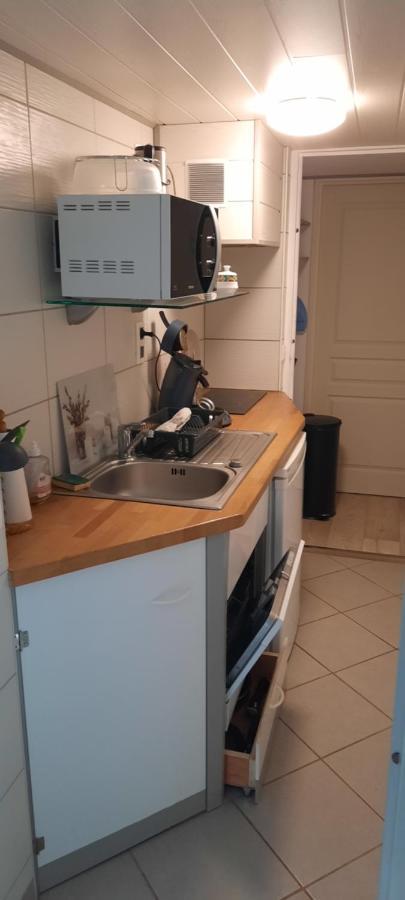 Calviac-en-Perigord Domaine Du Bancourel Bed & Breakfast エクステリア 写真